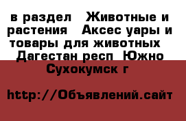  в раздел : Животные и растения » Аксесcуары и товары для животных . Дагестан респ.,Южно-Сухокумск г.